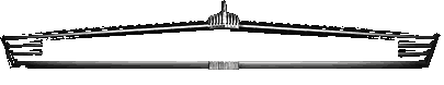 Blutegeltherapie